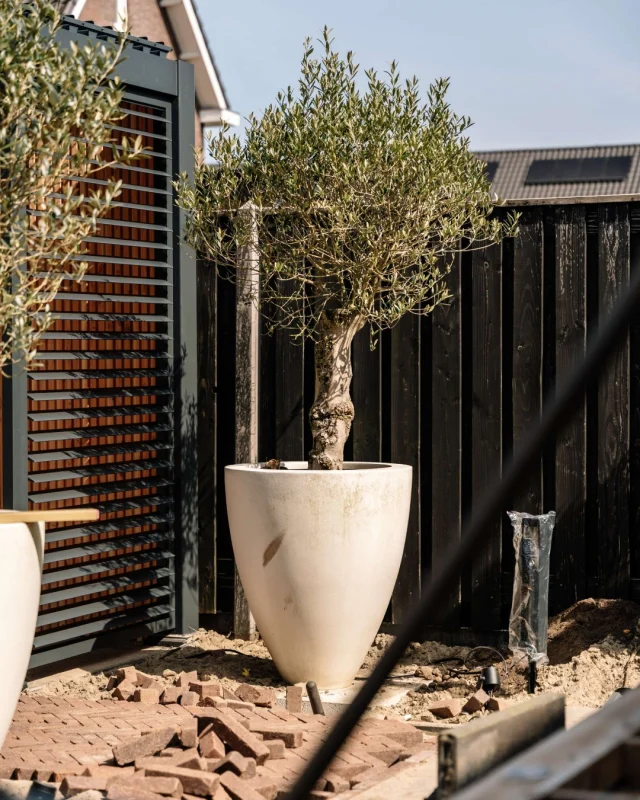 Nieuwe planten in je tuin? 🌿 Wij regelen het voor je! ✅Bij Kapaan zorgen we voor de juiste beplanting op de juiste plek. Zo krijgt jouw tuin precies de uitstraling die jij voor ogen hebt. 🤩📞 085 20 07 434
✉️ info@kapaan.nl
🌐 www.kapaan.nl#kapaan #beplanting #droomtuin #tuinaanleg #tuinonderhoud #hovenier #kesteren #opheusden #rhenen #betuwe